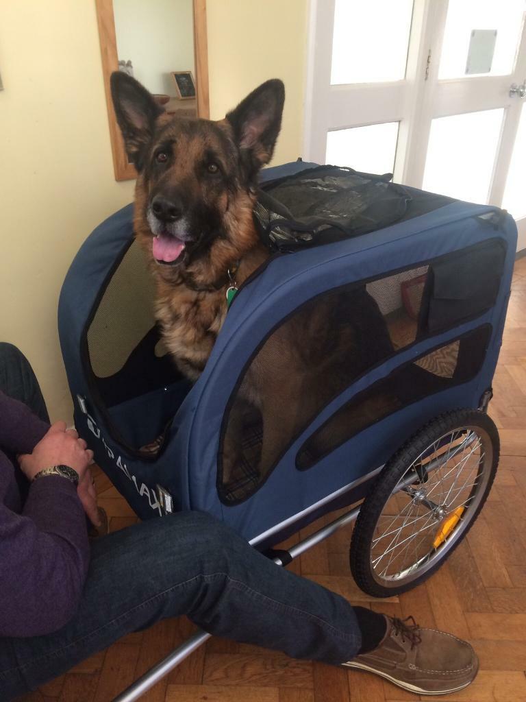 duramaxx dog trailer